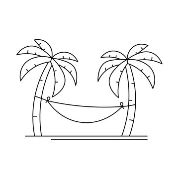 Hamock Palm Trees Paradise