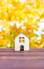 Obraz na płótnie Canvas House symbol on a background of yellow autumn leaves 