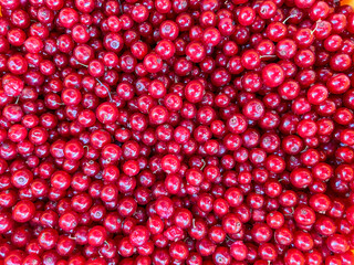 Redcurrant