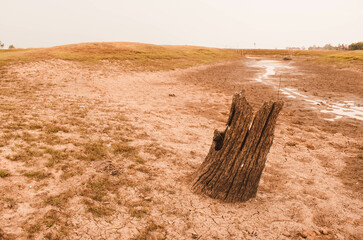 Drought.Dry and cracked land,Dry due to lack of rain.Effects of climate change such as desertification and droughts.