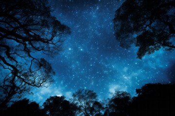 Obraz premium Trees against a starry night sky, the Milky Way as a background. Black Trees, view from down.