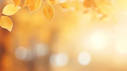 Tuinposter Beautiful blurred gentle natural light autumn background. © Yuwarin