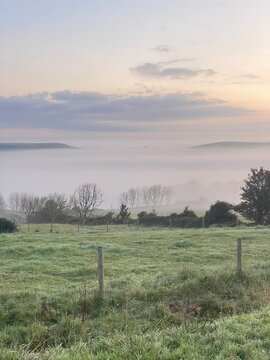 morning in the fog