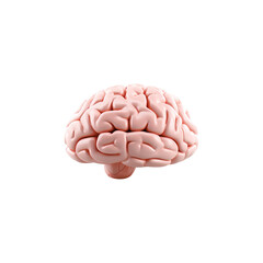 Brain isolated on white PNG transparent background