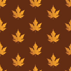 seamless pattern with autumn leaves vector