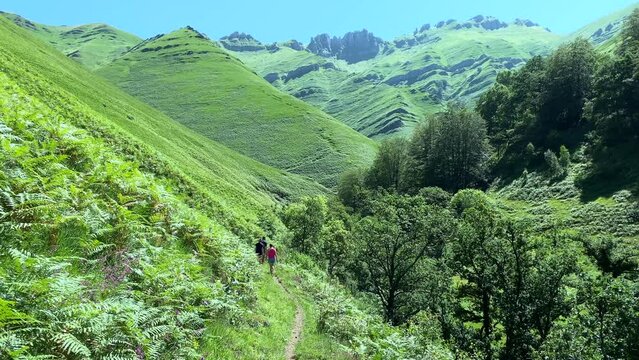 Hikers walking through a beautiful landscape