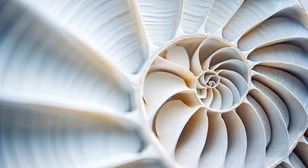 Foto op Canvas White Fractal Spiral Background Image, Illustration - Infinite repeating spiral pattern, vortex of geometry. Recursive symmetrical patterns compressed and twisted into a central focal point. Abstract © Sattawat