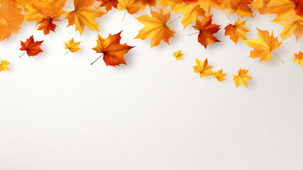 Naklejka na ściany i meble Autumn fall with falling maple leaves.Flying maple leaves isolated on white background.