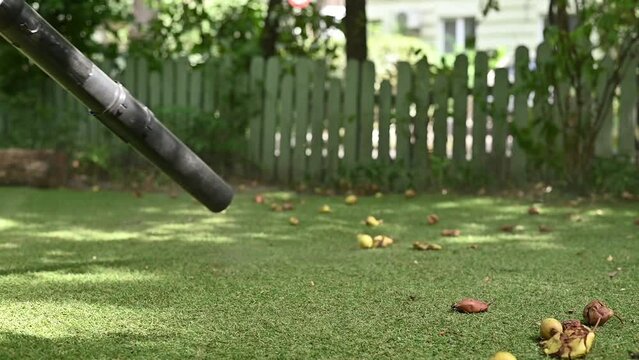Cordless Leaf Blowers. handheld, cordless, electric leaf blower in a garden, selective focus. Autumn, fall gardening works in a backyard, on a lawn, grass. Garden works.