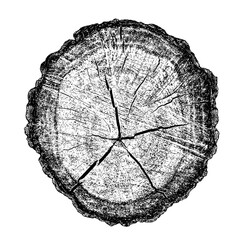 Wood texture cross section of tree rings. Cut slice of wooden stump isolated on white. Textured surface with rings and cracks. Black background made of hardwood from the forest. Vector illustration.