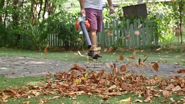 Cordless Leaf Blowers. handheld, cordless, electric leaf blower in a garden, selective focus. Autumn, fall gardening works in a backyard, on a lawn, grass. Garden works.