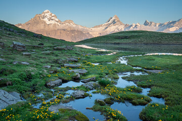 Panorama of Mt. Schreckhorn and Wetterhorn. Popular tourist attraction. Dramatic and picturesque...