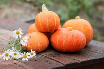 pumpkin on a wooden table