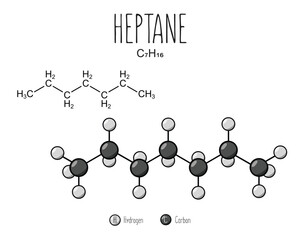 Heptane skeletal structure and flat model representation, isolated on a blank background. Vector editable