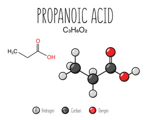 Propanoic acid skeletal structure and flat model representation, isolated on a blank background. Vector editable