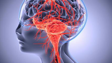 3D Illustration of human brain nerve tracts based on magnetic resonance imaging (MRI) data.