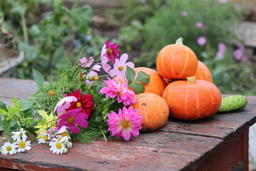 pumpkin and pumpkins
