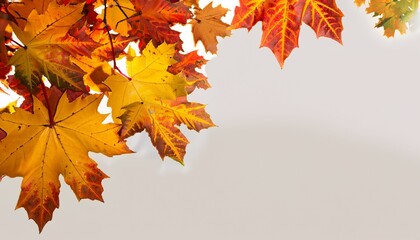 Naklejka na ściany i meble Autumn falling maple leaves isolated on white background