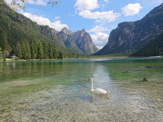 Toblacher See