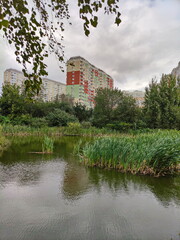 Pond in an urban settlement