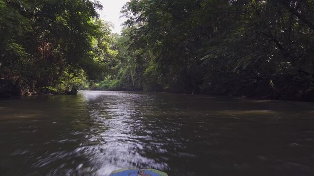 Amazing view of a river in the middle of the rainforest. 