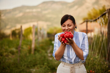 Happy woman holding a lot of ripe tomatoes, smelling them in the garden.