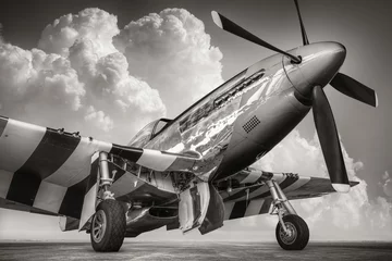 Tuinposter Oud vliegtuig historical fighter plane against a dramatic sky