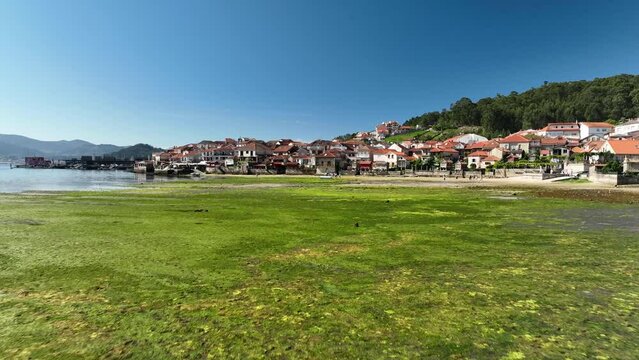 Sunny Day Over Combarro Beach and Harbor -drone shot