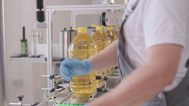 Sunflower oil in the bottle moving on production line. Bottling line of sunflower oil in bottles. Vegetable oil production plant. High technology. Industrial background