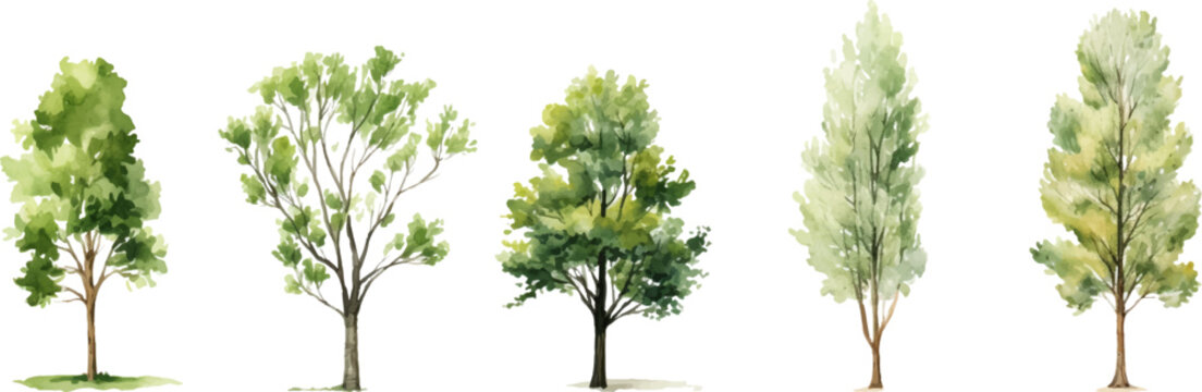 tree nature watercolor on a white background. Generative AI.