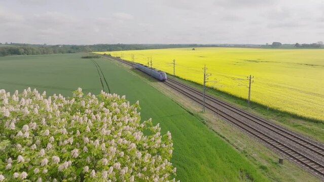 Small blue train travels fast through scenic countryside with rapeseed oil field