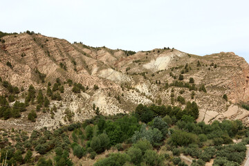 Desert mountains with green trees in Andalucia