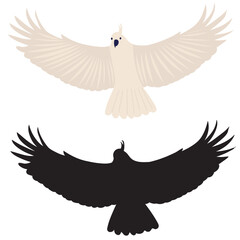 white parrot in flat style with silhouette on white background, vector
