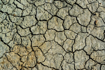 Hyperhaline Kuyalnik estuary. Dry cracked therapeutic mud at the bottom of a drying reservoir