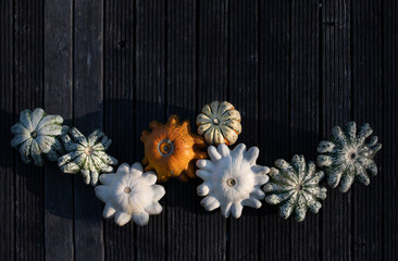 Several decorative pumpkins lie next to each other on a dark wooden surface. Each pumpkin is shaped like a gear. The pumpkins form a chain of gears and are connected to each other.