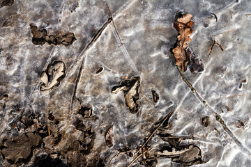 Spring ground covered with thawing snow