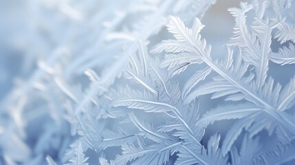  a close up of a frosted window with a blue background.  generative ai