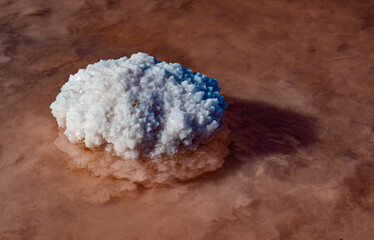 Salt Lake. Self-settling sodium chloride salt on rocks near the shore. Hypersaline water