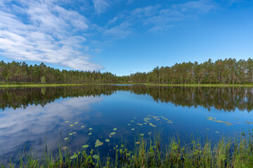 Beautiful lakeside view from the Swedish countryside
