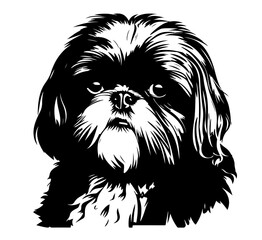 Shih Tzu Silhouette Illustration  & Vector