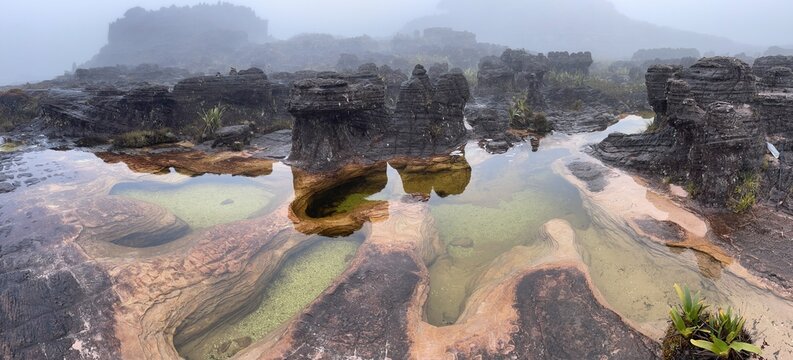 View at peculiar topography of summit of Mount Roraima, Canaima national park, Venezuela