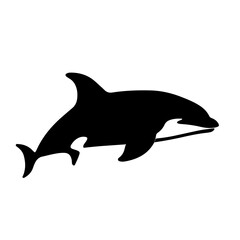 orca silhouette black white vector illustration