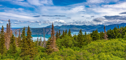 kenai peninsula backwoods high