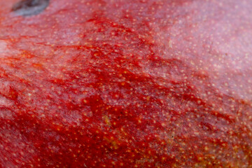 whole mango fruit red green peel, close up