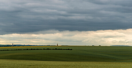 Céréales sur les champs de bataille de la Somme 1916 à Ovillers-la-Boiselle, Picardie, France