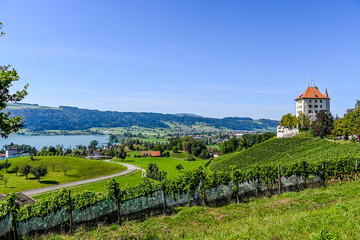 Gelfingen, Baldeggersee, Weinberg, Schloss, Heidegg, Hitzkirch, Rosengarten, Schlosspark, Seetal,...