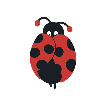 Coccinelle se cache avec &eacute;motion