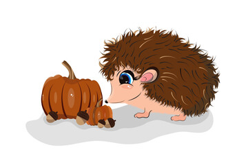 Vector illustration of cartoon hedgehog with pumpkins on white background. Symbol of autumn season.