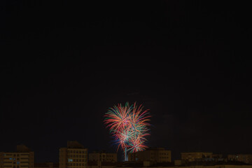 colorful palm trees over the sky of Vitoria