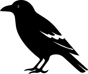 Common Raven Icon